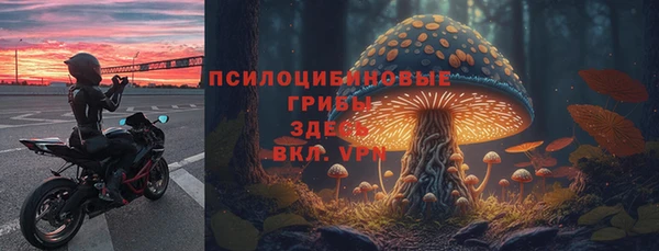 бутират Алзамай