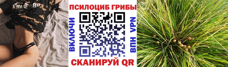закладка  Карабаш  shop какой сайт  Псилоцибиновые грибы Magic Shrooms  hydra вход 